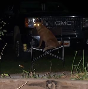 Meet your Posher, Travis